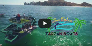 Los Cabos Tarzan Boats