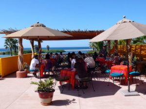 Hotels of Todos Santos