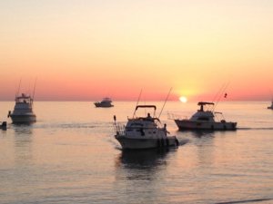 Fishing Tournaments in Los Cabos