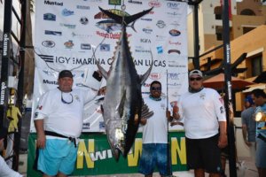 Fishing Tournaments in Los Cabos