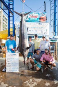 Fishing Tournaments in Los Cabos