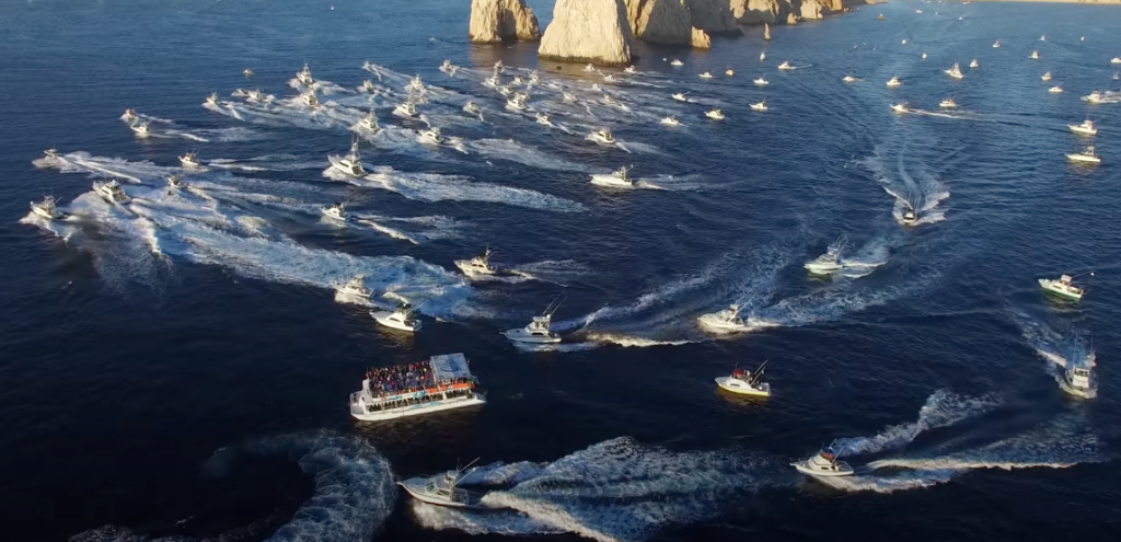 Fishing Tournament Season in Los Cabos