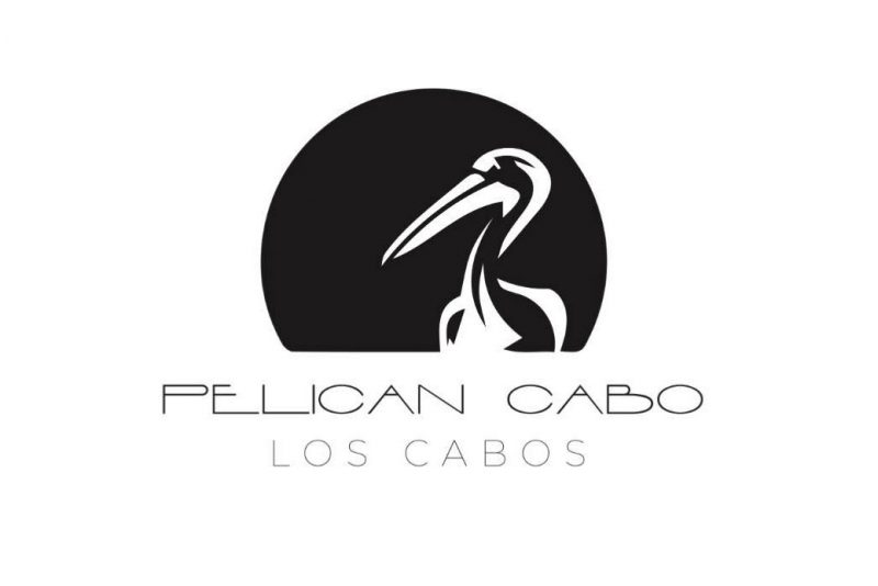 Pelican Cabo